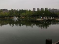 -前关湿地公园