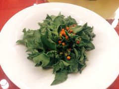 沙棘冰草-九十九顶毡房(阜石路店)