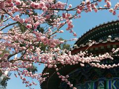 景点-景山公园
