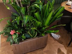 -荷花亭·湖北融合菜(十堰武商MALL店)