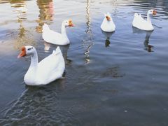 -亦庄创意生活广场