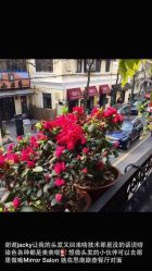 Mirror Salon-3AM HAIR SALON烫发染发接发