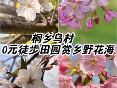 -乌村