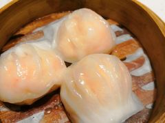 千日贺虾饺皇-千日贺茶餐厅(高新万达店)