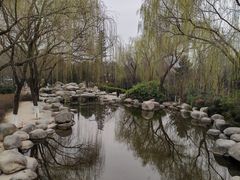 -西安青龙寺遗址景区