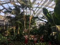 -北京植物园-展览温室