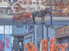 -中旅松花湖滑雪场