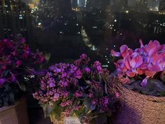 -萨芭蒂高空花园餐酒吧