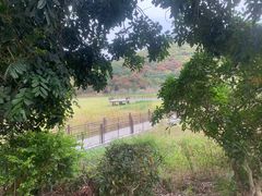 -清溪大王山森林公园