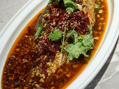 -百味地锅鸡(二店·财校分店)