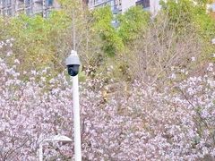 -天河体育中心
