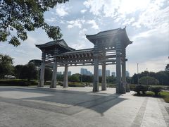 -王借岗森林公园