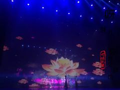 -澜沧江湄公河之夜歌舞篝火晚会