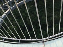 -呀诺达热带雨林