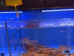 -阿伟海鲜楼·福建菜(延寿店)
