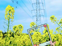 -白鹭湾湿地公园