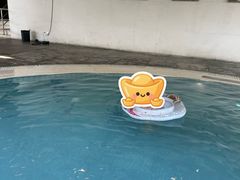 -上海佘山世茂艾美酒店