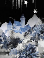 -红丝高端婚礼中心(旗舰店)