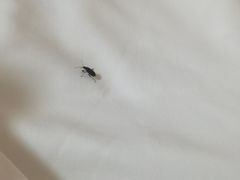 -7天酒店·北京学院路六道口地铁站店