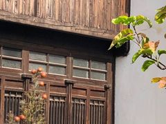 -黎里古镇