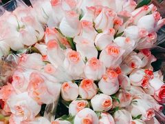 -循礼门鲜花花市(武汉循礼门店)