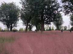 -汉长安城未央宫国家考古遗址公园