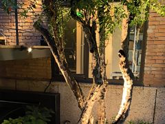 -羊门客在·烤盐池滩羊·川菜