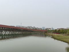 -九龙湖公园