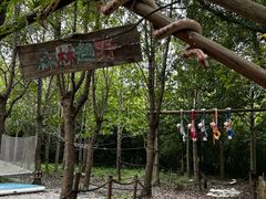 -上海山野camping·户外天幕烧烤·团建拓展营地
