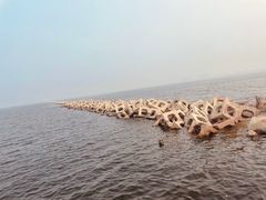 -东疆建设开发纪念公园