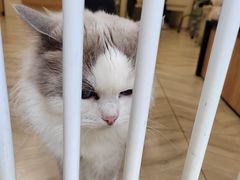 -Pets First伊珊娜洗护·精致美容·家庭式寄养(新会路店)