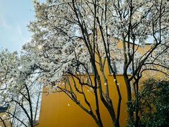 -龙华寺