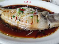 鲽鱼-正阳春鸭子楼(汉沽店)