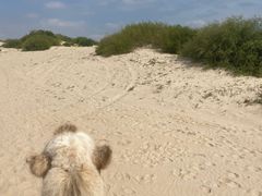 -库伦旗银沙湾旅游景区