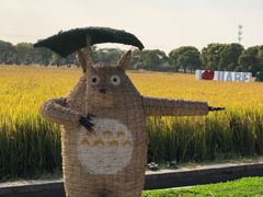 -嘉北郊野公园