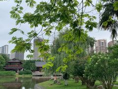 -堤角公园