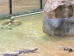 -昆明动物园