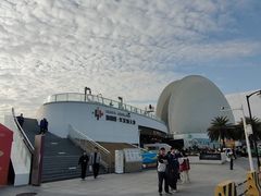 -野狸岛