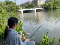 -新江湾城公园