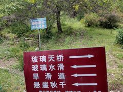-中华福寿山