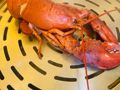 -四海蒸鲜蒸汽海鲜自助(北戴河店)