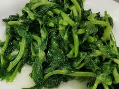 白酒有机豆苗-瑞福园联谊餐室(茂名南路店)