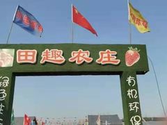 -田趣农庄草莓采摘园
