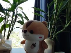 -佰推·肩颈腰·推拿理疗(湾悦城店)