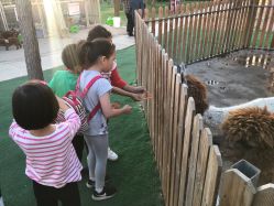 -萌宠亲子动物乐园(槐房万达店)