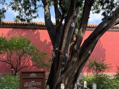 -北京市劳动人民文化宫(太庙)