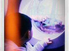 -芜湖新华联大白鲸海洋公园