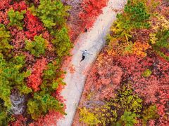 -樱花山风景区