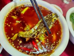 -清泉馆(望江路店)