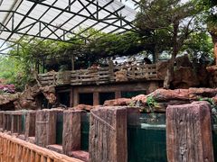 -长鹿旅游休博园